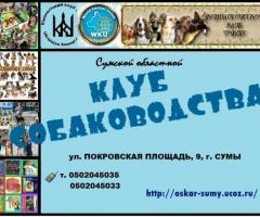 Предлагаем для вязки