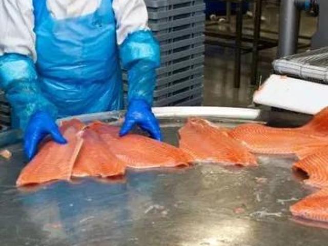 Шоковая заморозка,низькотемпературні камери для переробки риби