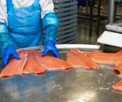 Шоковая заморозка,низькотемпературні камери для переробки риби