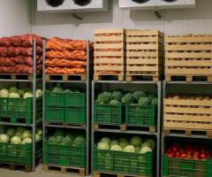 Універсальна холодильна камера для продуктів -10С+10С, морозилка