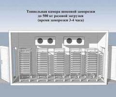 Шокова заморозка ( Установка піл ключ) Хлібо булочних виробів